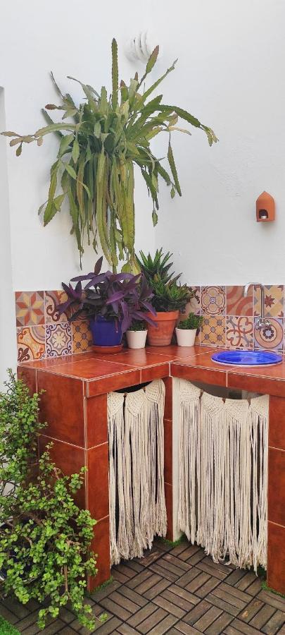 فيلا La Barrosa Duplex شيكلانا دي لا فرونتيرا المظهر الخارجي الصورة