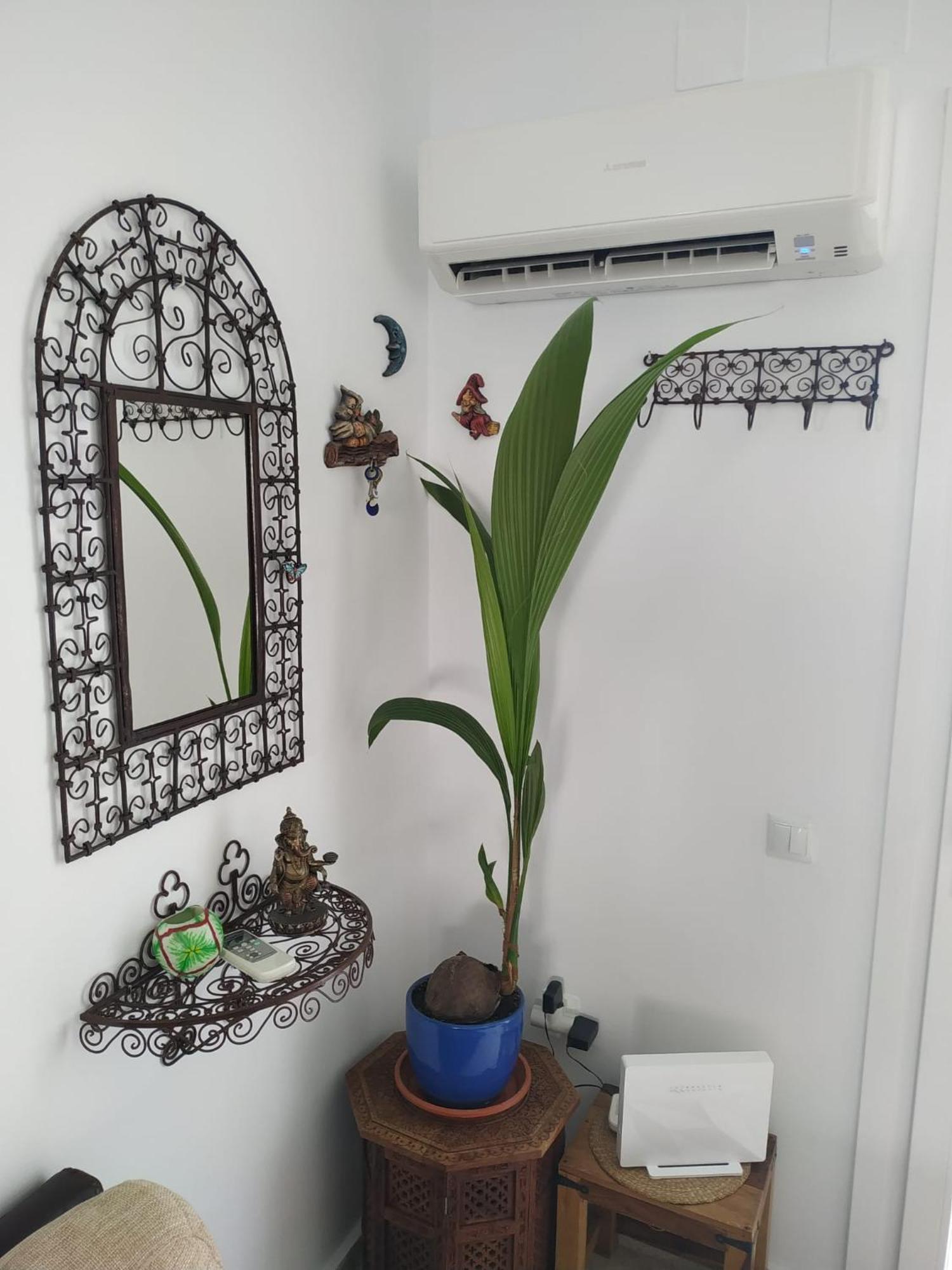 فيلا La Barrosa Duplex شيكلانا دي لا فرونتيرا المظهر الخارجي الصورة