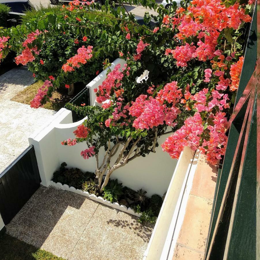 فيلا La Barrosa Duplex شيكلانا دي لا فرونتيرا المظهر الخارجي الصورة