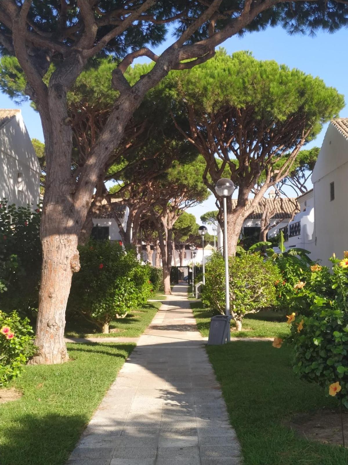 فيلا La Barrosa Duplex شيكلانا دي لا فرونتيرا المظهر الخارجي الصورة